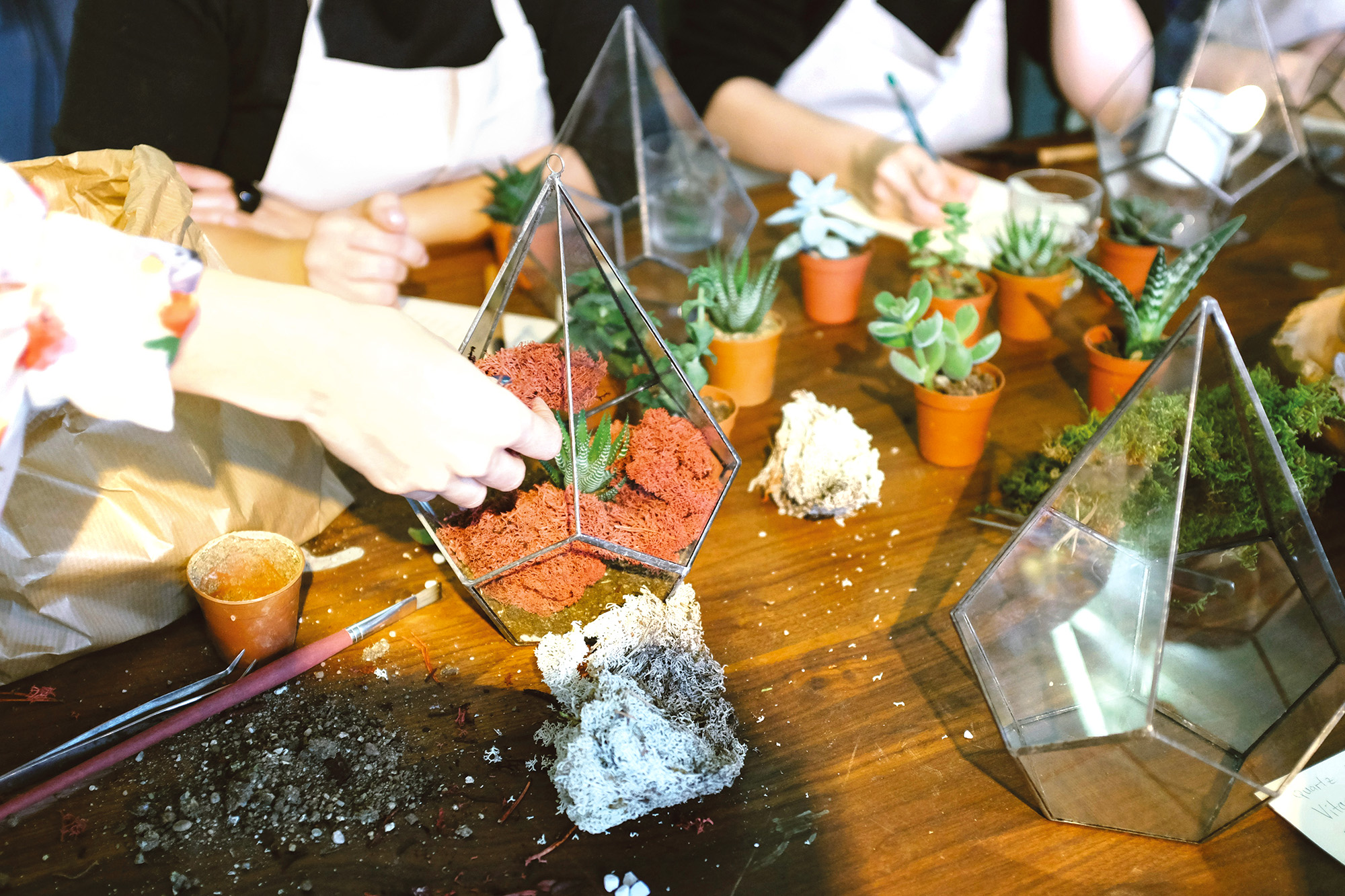 team building_terrarium